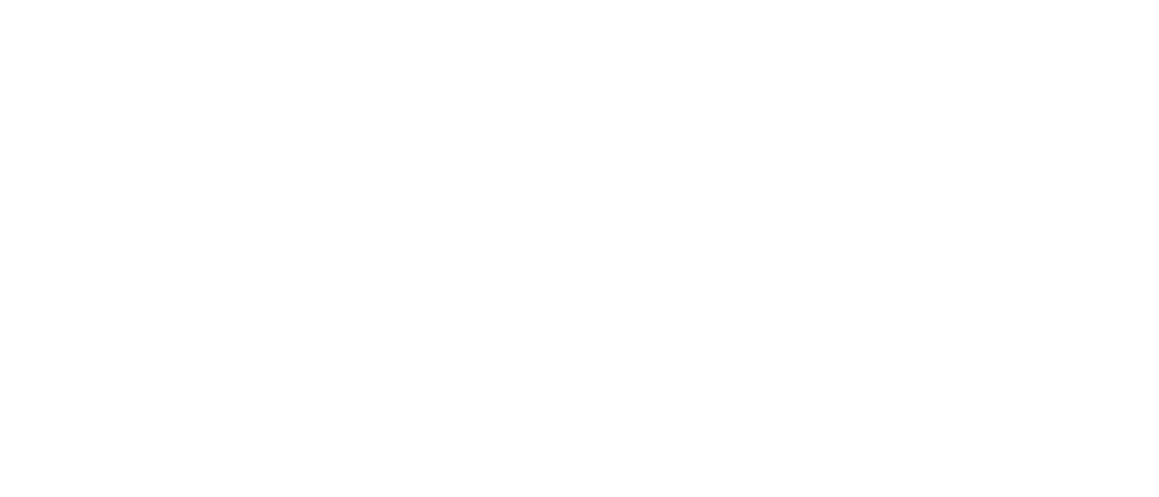 logo_immo_weiss